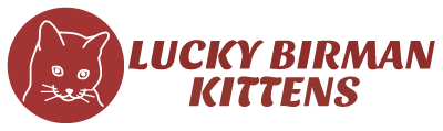 Lucky Birman Kittens